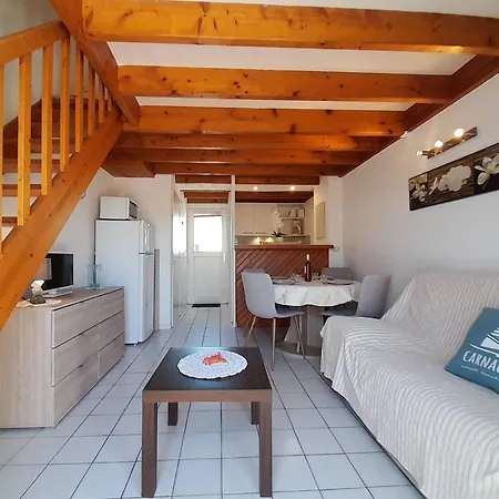 Maison 3 Pieces Avec Terrasse A 200m De La Du Men Du - - Fr-1-477-104 Villa Carnac